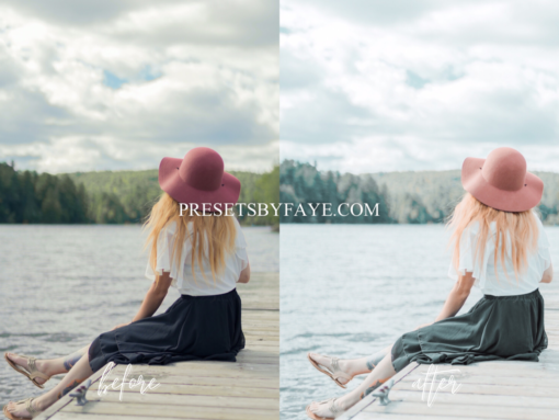 BRIGHT LIGHTROOM PRESETS - Image 2