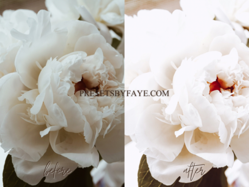 CLEAN WHITE LIGHTROOM PRESETS - Image 5