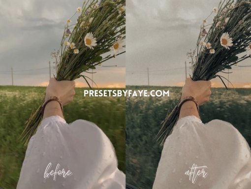 VINTAGE MOOD LIGHTROOM PRESETS - Image 3