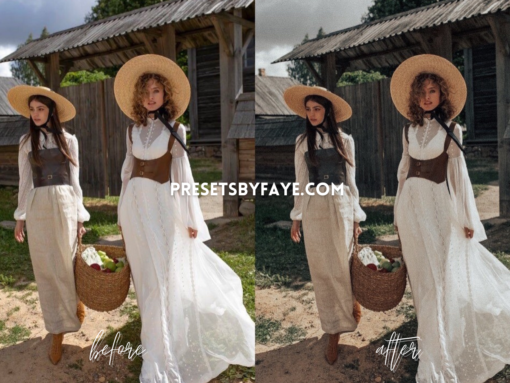 VINTAGE MOOD LIGHTROOM PRESETS - Image 5