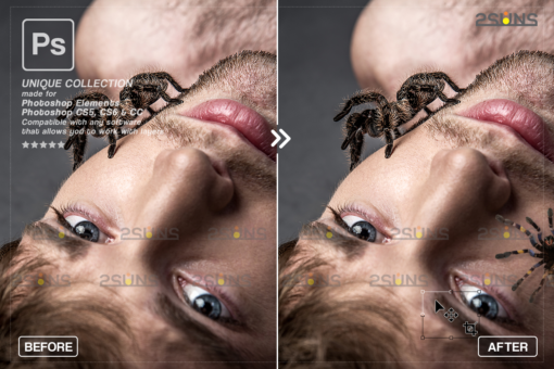 Halloween overlay & Halloween digital backdrop: Photoshop overlay - Image 7