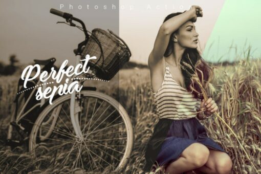Perfect Sepia Action | Photoshop Actions - Image 2