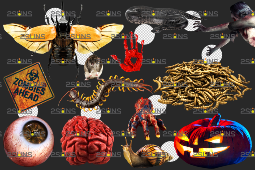 Halloween overlay&Halloween clipart,Skull png overlays - Image 2