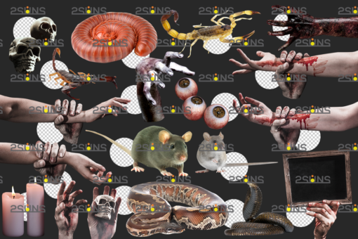 Halloween overlay & Halloween clipart,monster clipart, skull png - Image 2