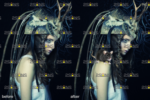Halloween overlay & Halloween clipart,monster clipart, skull png - Image 5