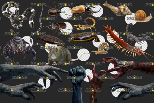 Halloween photoshop overlay&Halloween clipart:Skull png, zombie - Image 2