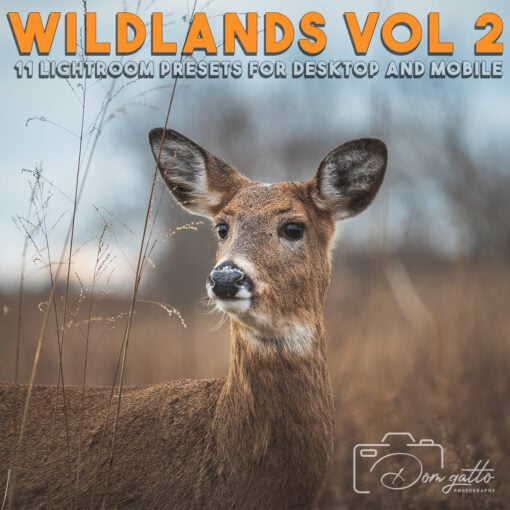 @dom.iwc Wildlands Vol 2