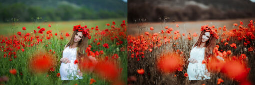 12 x Lightroom Presets, Pro Presets, Portrait Presets, - Image 2