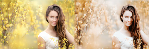 12 x Lightroom Presets, Pro Presets, Portrait Presets, - Image 4