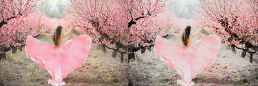 12 x Lightroom Presets, Pro Presets, Portrait Presets, - Image 5