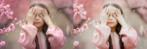 12 x Lightroom Presets, Pro Presets, Portrait Presets, - Image 10