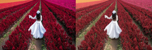 12 x Lightroom Presets, Pro Presets, Portrait Presets, - Image 13