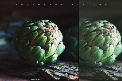460 CREATIVE PHOTOSHOP ACTIONS - Image 6