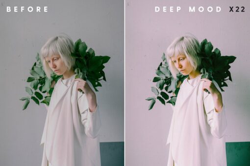 Deep Mood - Desktop & Mobile Lightroom Presets - Image 2