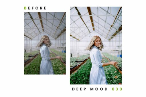 Deep Mood - Desktop & Mobile Lightroom Presets - Image 11