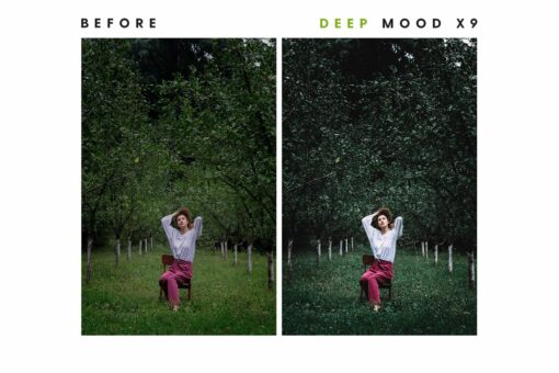 Deep Mood - Desktop & Mobile Lightroom Presets - Image 28