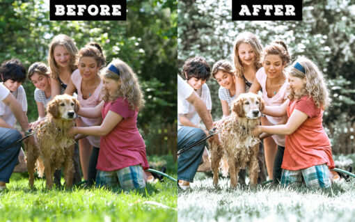 FAMILY Lightroom Mobile & Desktop presets. - Image 6