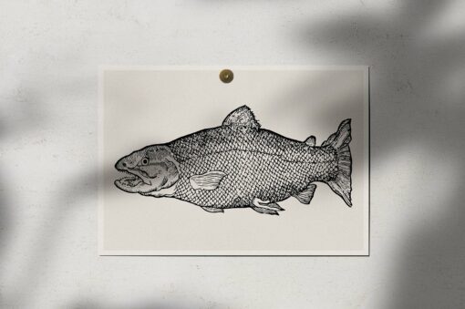 Fishes Illustrations - Vol. 3 - Image 3