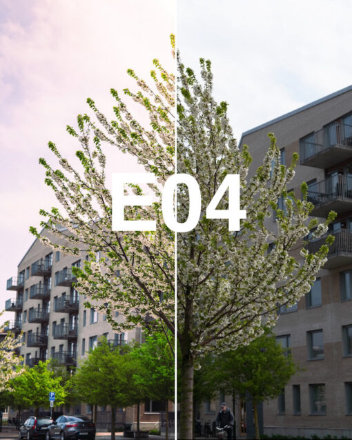 Enhance Lightroom Presets - Image 5