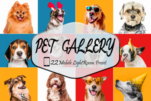 22 Mobile Lightroom Presets, Pet Gallery Preset