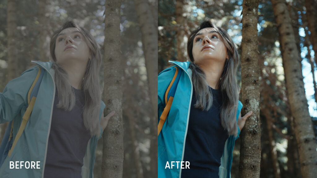 BMPCC4K/ 6K/ 6K Pro Film Gen5 Color Science Cinematic Luts FilterGrade
