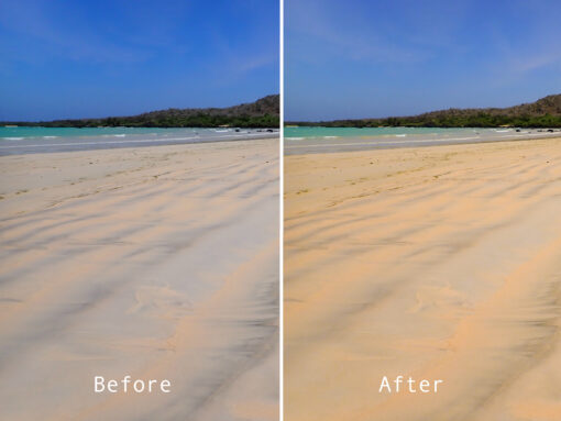Vibrant Nature Lightroom Filters - Image 5