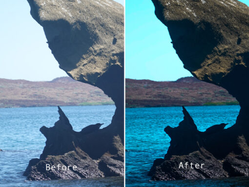 Vibrant Nature Lightroom Filters - Image 4