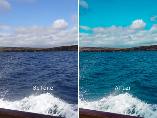 Vibrant Nature Lightroom Filters - Image 3