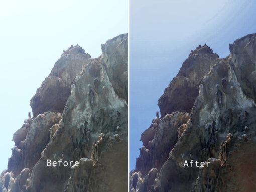 Vibrant Nature Lightroom Filters - Image 2