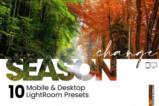 10 Season Change Mobile & Desktop Lightroom Presets