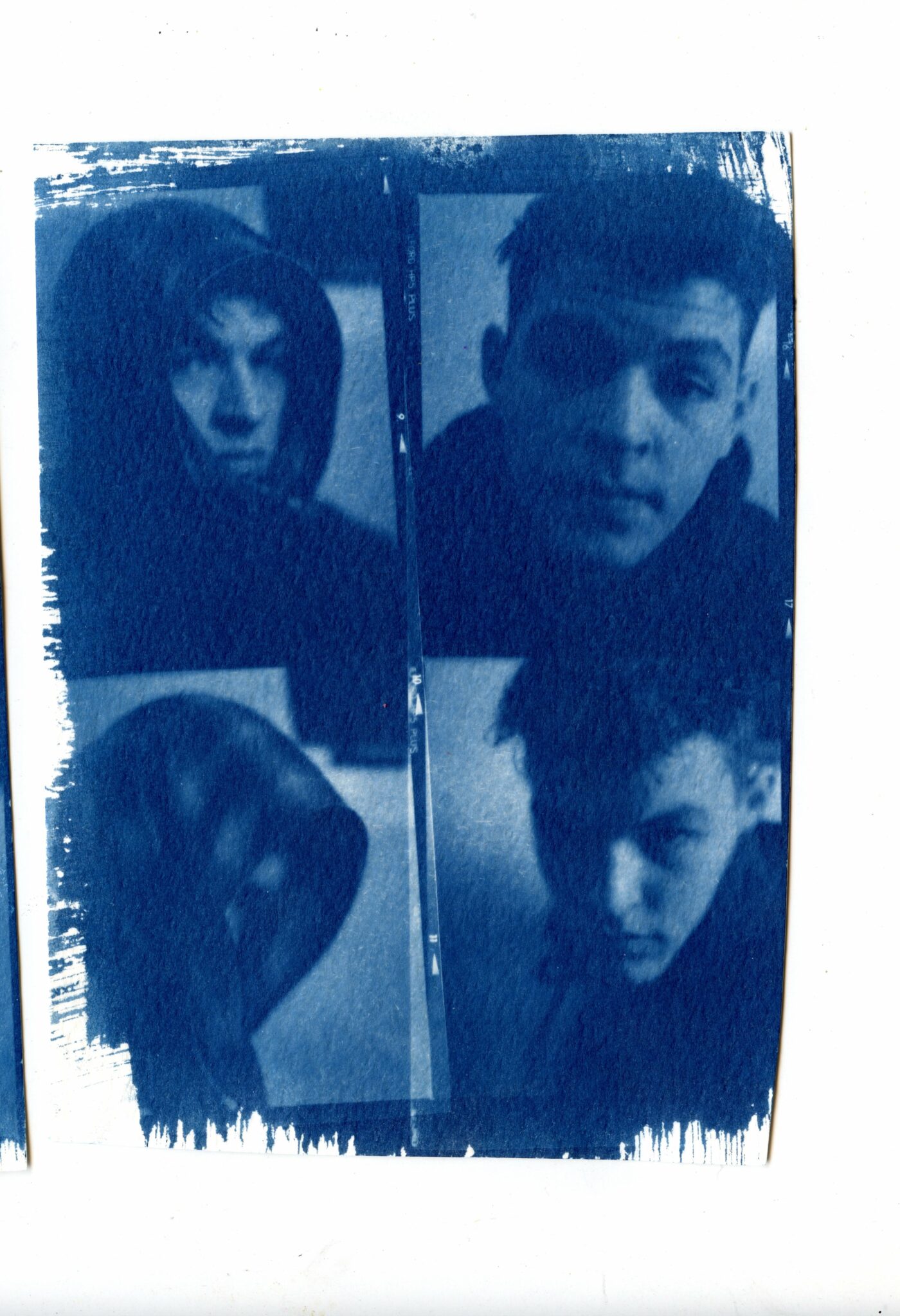 How to Make a Cyanotype - FilterGrade