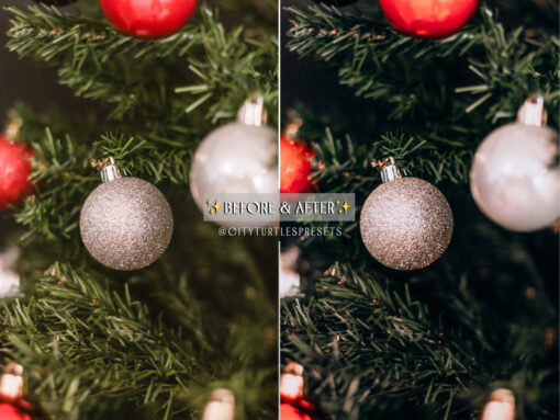 Cozy WINTER MOOD Holiday Lightroom Presets - Image 8