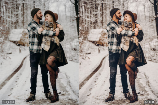 Winter joy Lightroom Presets for Lightroom and Photoshop - Image 12