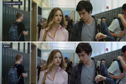 CineGrades LUTs v.4 – 12 Cinematic LUTs - Image 3