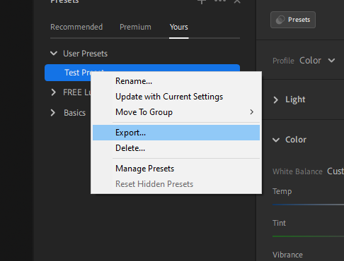 export menu on lightroom preset