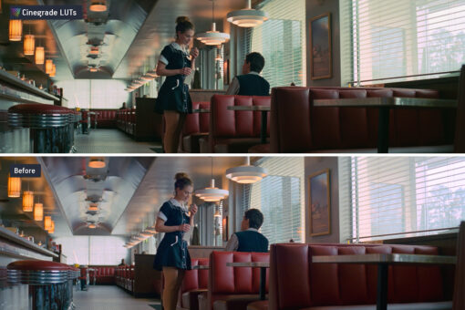 CineGrades LUTs Master Collection - 60 Cinematic LUTs Bundle - Image 4