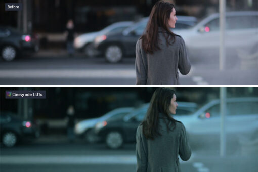 CineGrades LUTs Master Collection - 60 Cinematic LUTs Bundle - Image 11