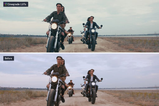 CineGrades LUTs Master Collection - 60 Cinematic LUTs Bundle - Image 6