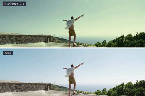 CineGrades LUTs Master Collection - 60 Cinematic LUTs Bundle - Image 8