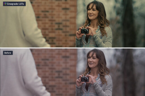 CineGrades LUTs Master Collection - 60 Cinematic LUTs Bundle - Image 15