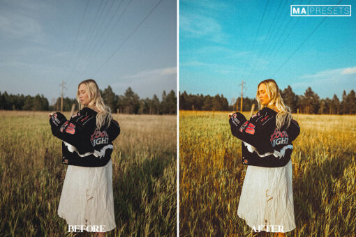 10 CINEMATIC- Mobile & Desktop Lightroom Presets - Image 6