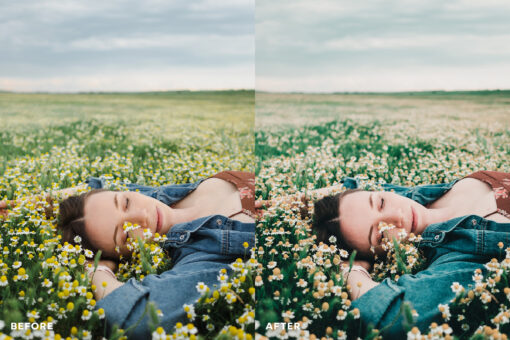 EVERGREEN Lightroom Presets, Moody Presets, Cinematic Presets - Image 4