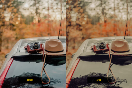 Analog Film Lightroom Presets - Image 10