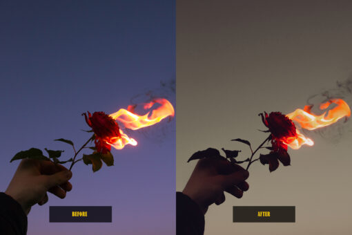 Analog Film Lightroom Presets - Image 8