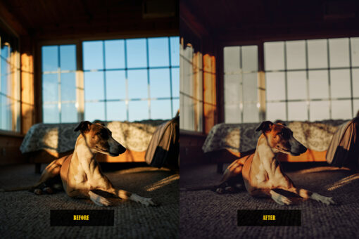 Analog Film Lightroom Presets - Image 6