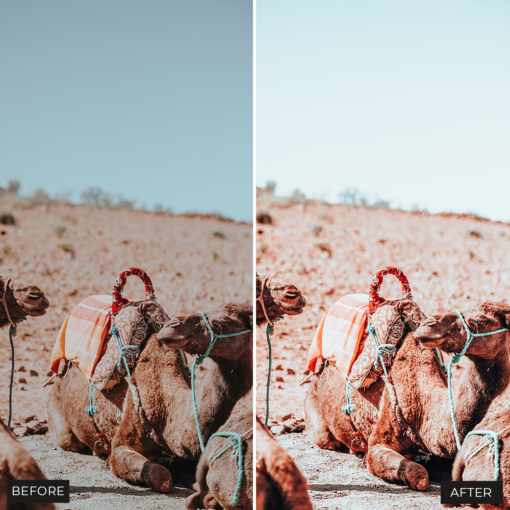 Marrakesh Lightroom Presets - Image 9