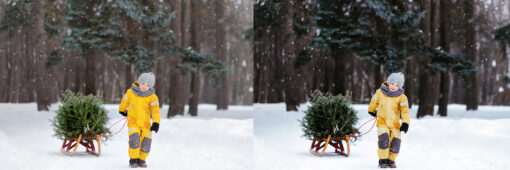 12 x Lightroom Presets, Tree Farm Presets, Christmas Presets - Image 2