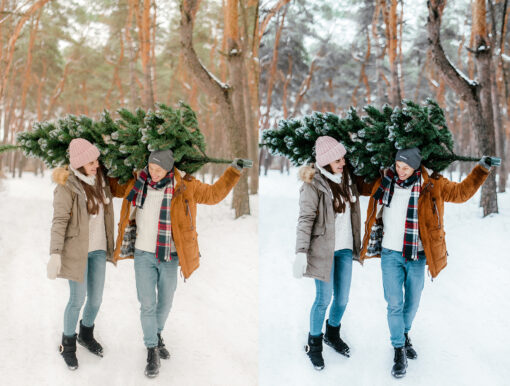 12 x Lightroom Presets, Tree Farm Presets, Christmas Presets - Image 4