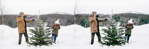 12 x Lightroom Presets, Tree Farm Presets, Christmas Presets - Image 6