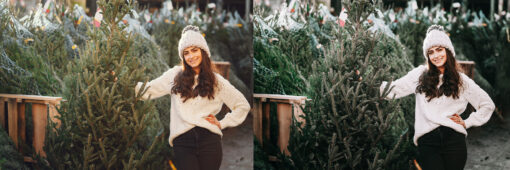 12 x Lightroom Presets, Tree Farm Presets, Christmas Presets - Image 7